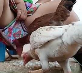 Have planned look forward desi bhabi feeding hen